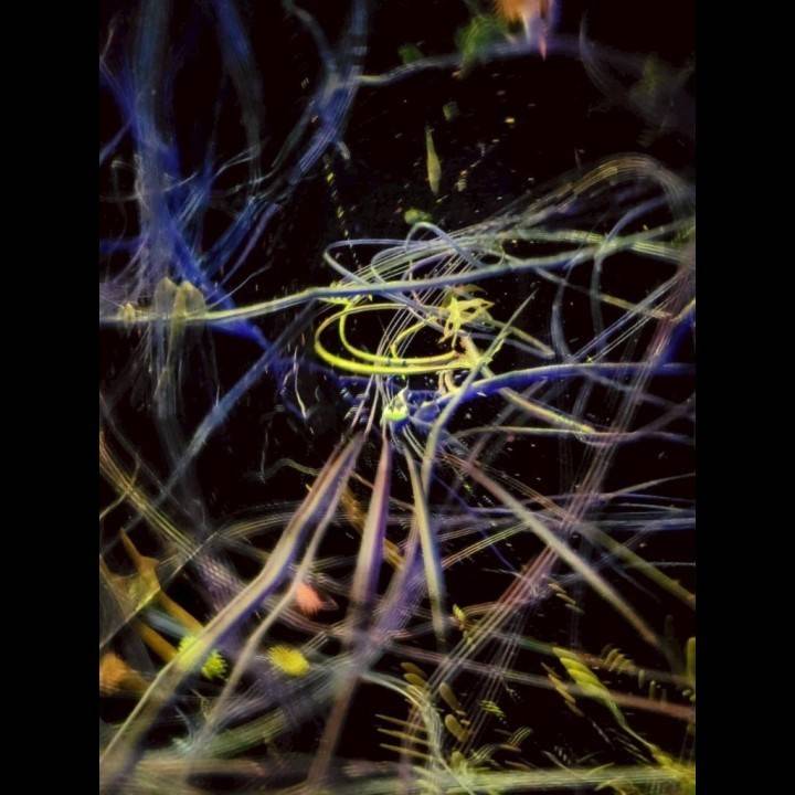 最近観たもの🎥