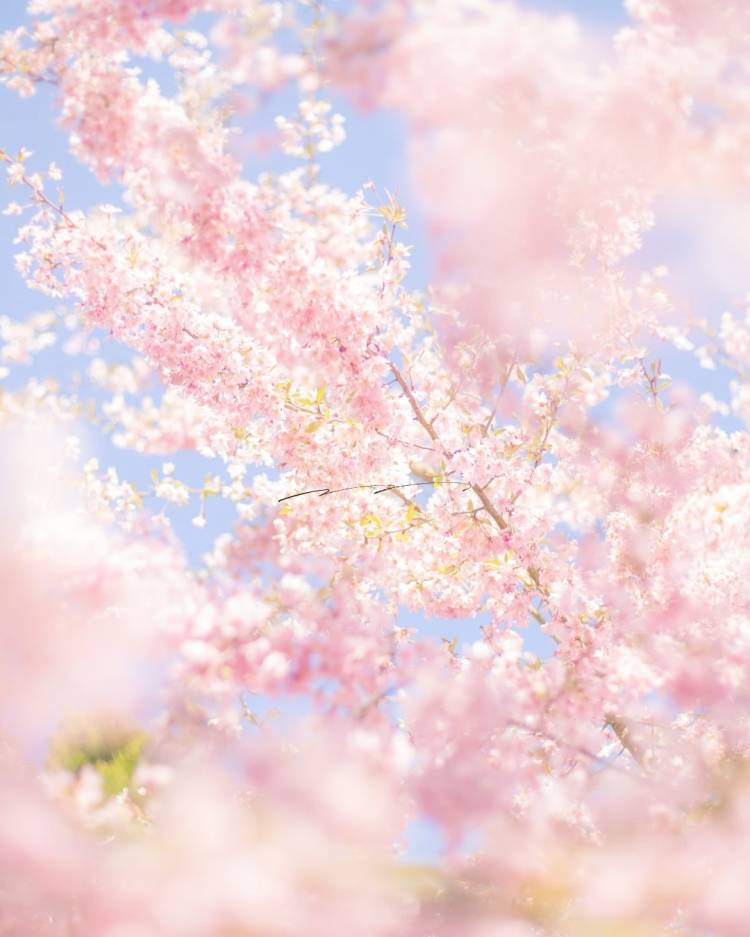 花粉感じてます😖