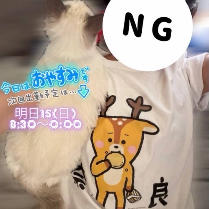 明日は朝からいます☀️🫧