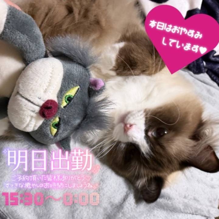 明日出勤です🕊ポイント2倍期間中✨