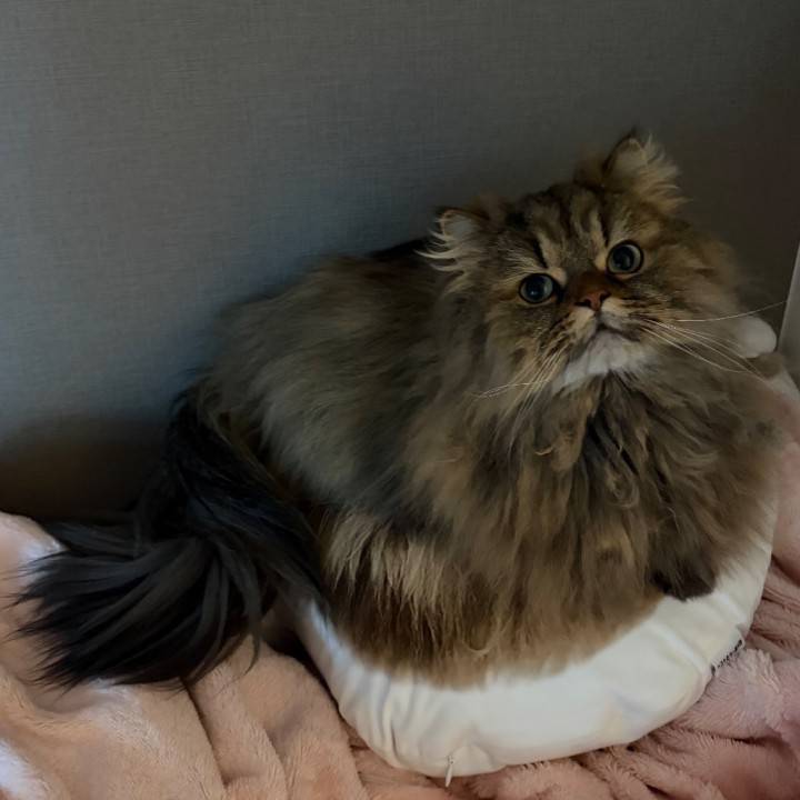 え！？！太り過ぎ！？