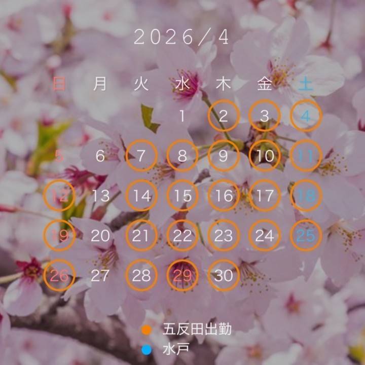 ✨4月の予定表✨