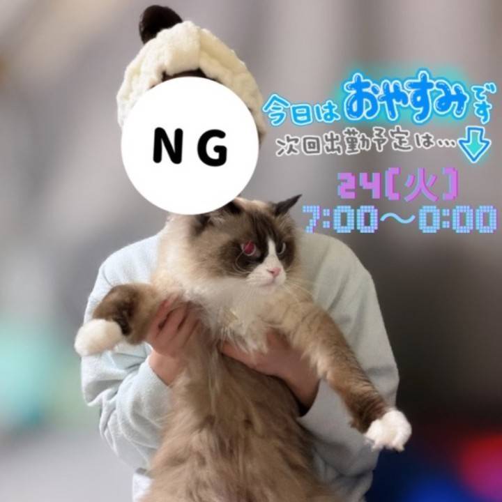 4月の予定について📣