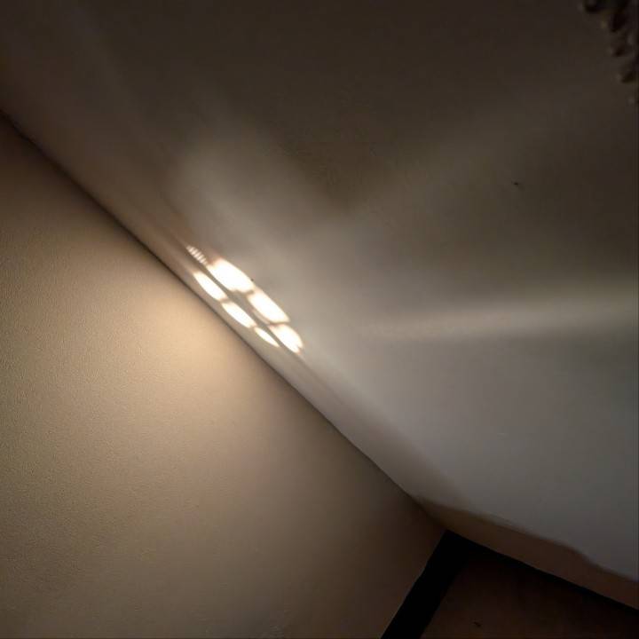 【本日限定】ここだけのおはなし㊙️