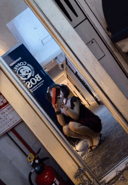 この後の🈳📢