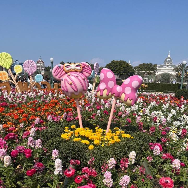 明日いるよん🌷