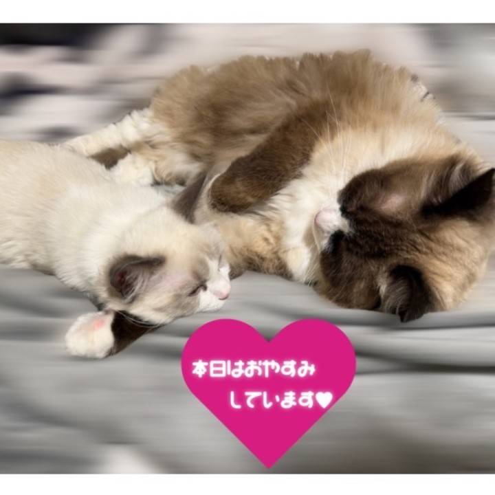 おやすみ初日です🫧