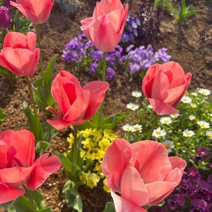 3月のありがとうと出会いに感謝🌸