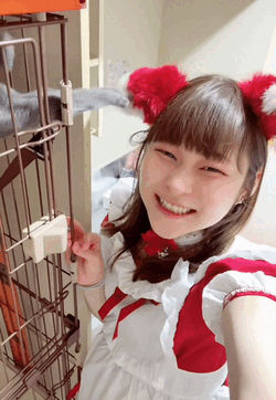 看板にゃん娘🐈