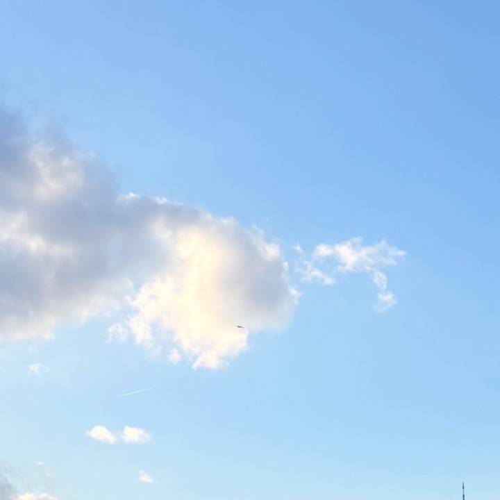 明日7:00〜10:00います🤭