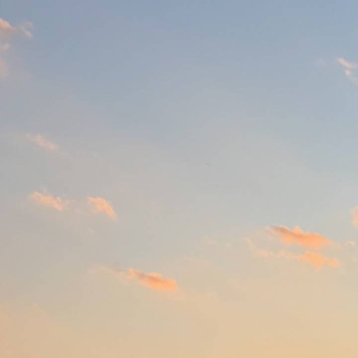 7:00〜16:00までいます✨