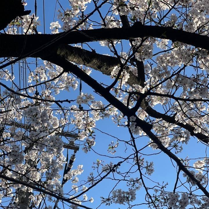 寄り道してきました♩