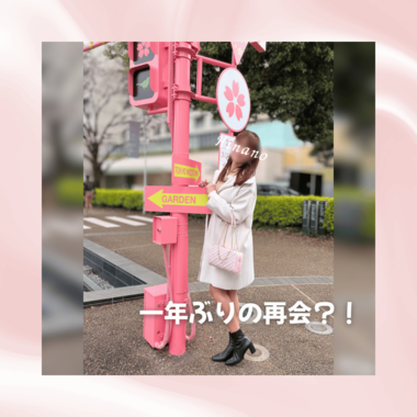 一年ぶりの再会🕊️
