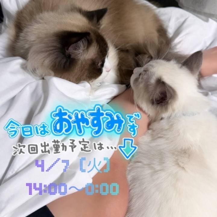 カプカプ事件発生🐱💥