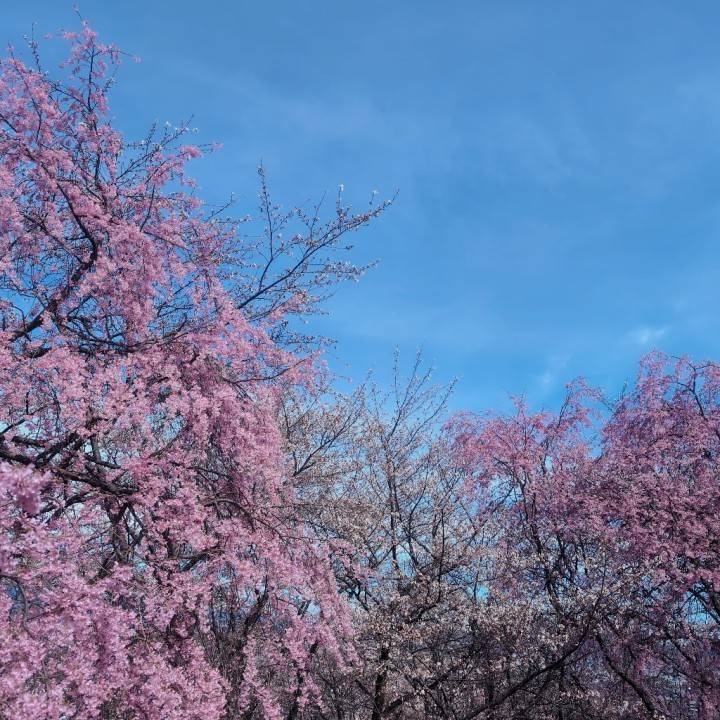 見つめ合いましょう