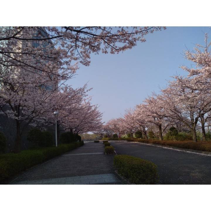 次回8日(水)です🌱