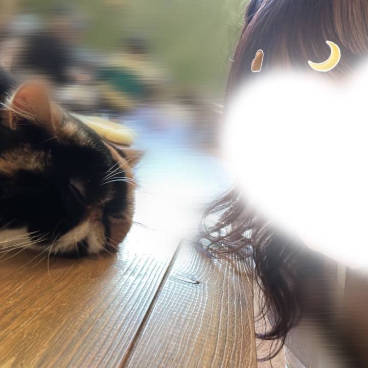 💞明日4/8 13時から！💞