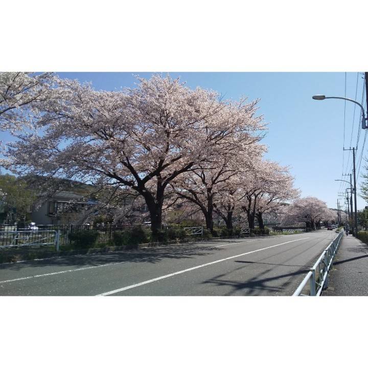 本日ラスト⭐