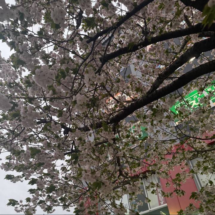 久々ありがとう💖