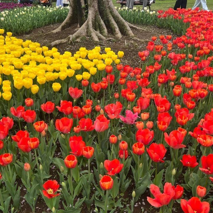 明日いるよ🙂‍↕️✨