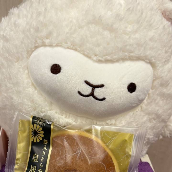 君の名は、、🦙