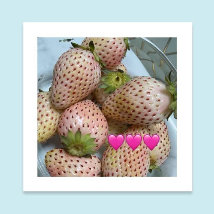 いちご♡