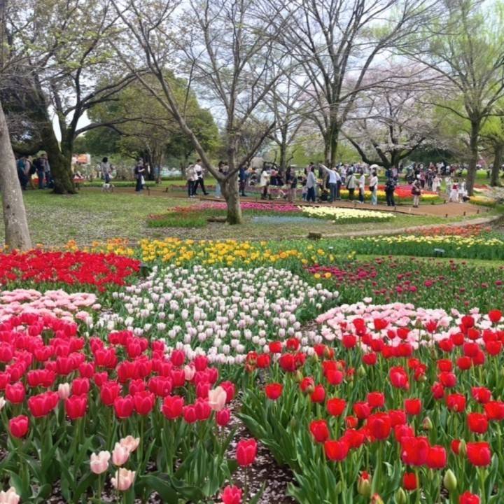 今日いるよ〜！🏃‍♀️💨💨💨💨