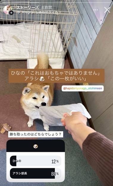 オフショットお届け🫧