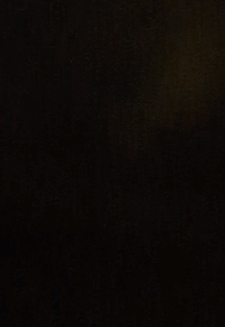 【声あり動画】
