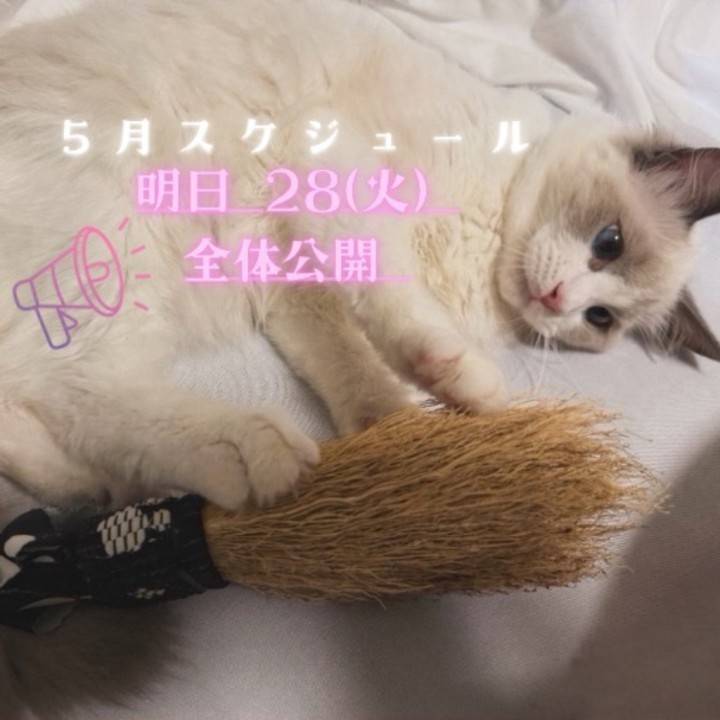5月出勤表、明日公開します📣💗