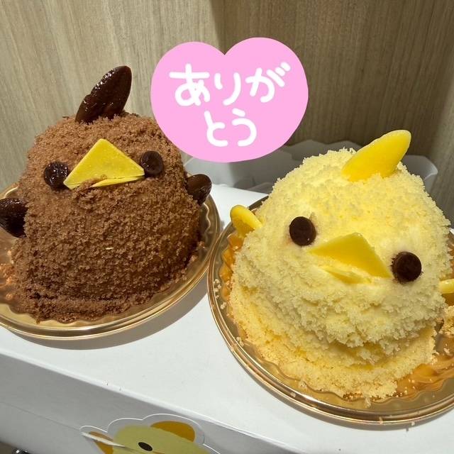 来てね