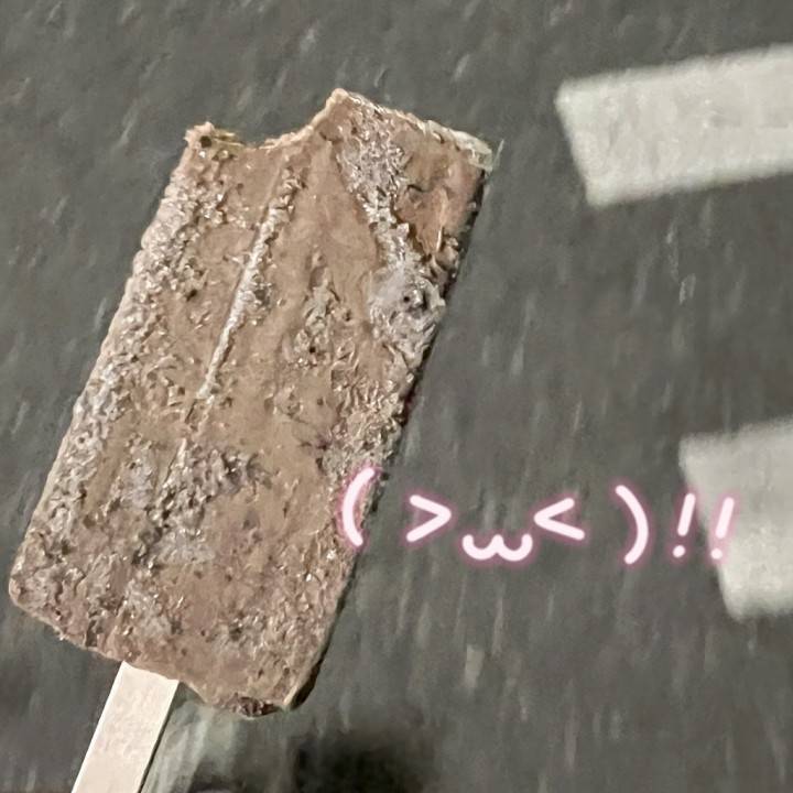 出勤🍨🔰