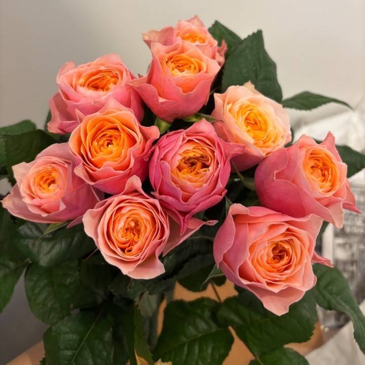本日出勤です💐