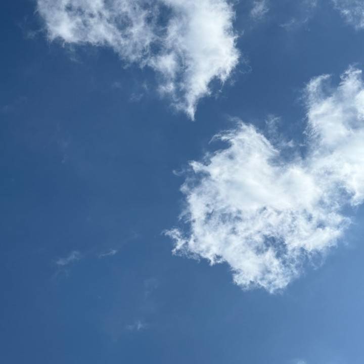 わた🐈‍⬛本日出勤します🩷