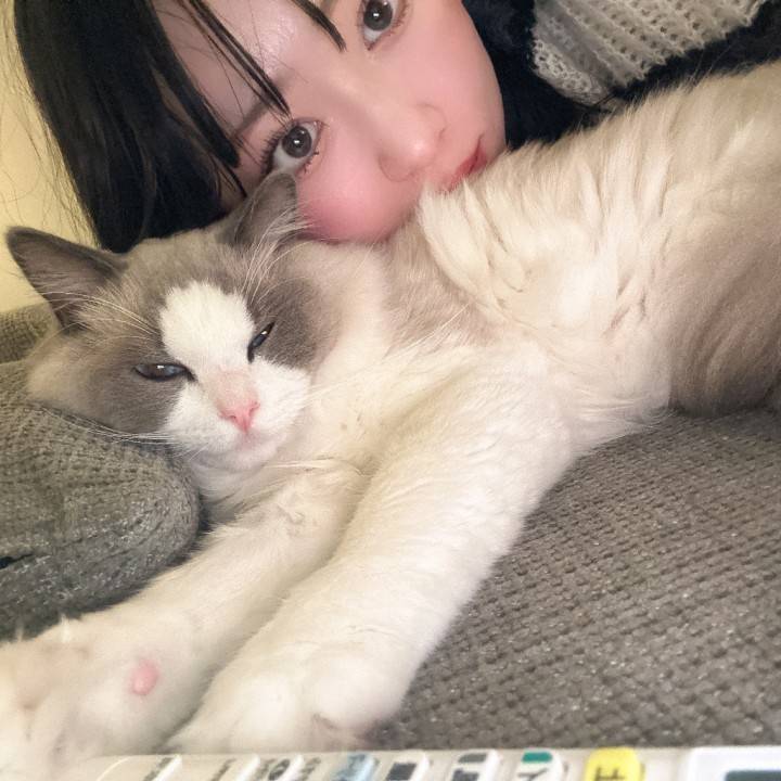 ちゅちゅちゅ( * ´ ³`)