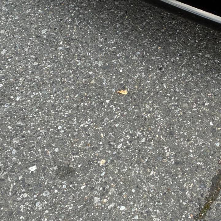 本日お休みいただいてます。
