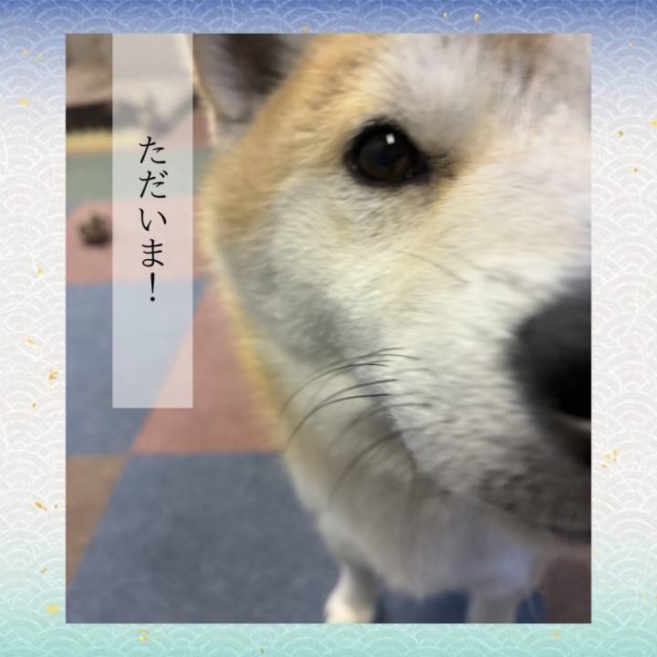 【お知らせ🚨】