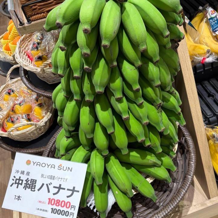 いろんな意味でチン
