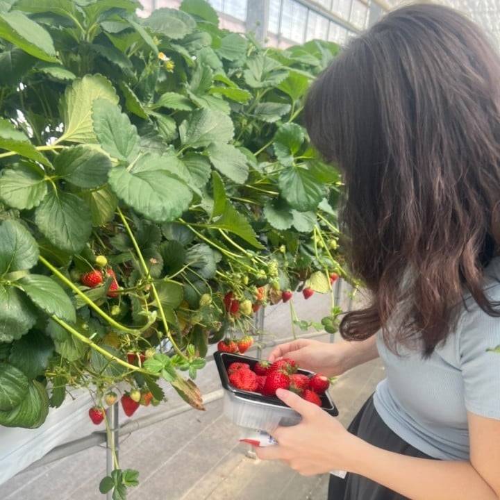 本日出勤