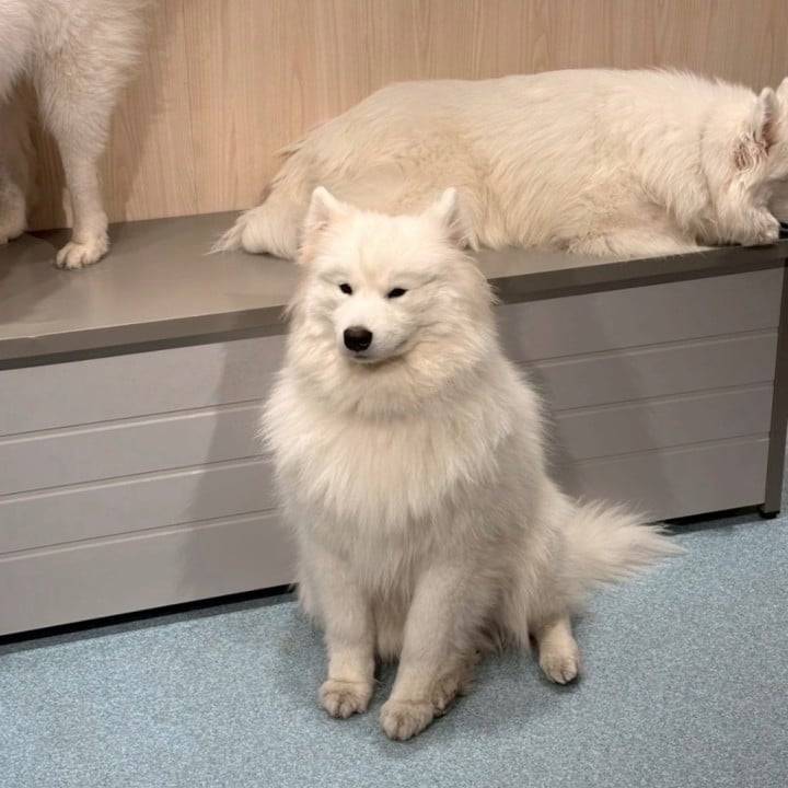 なほさんからのお願い❣️