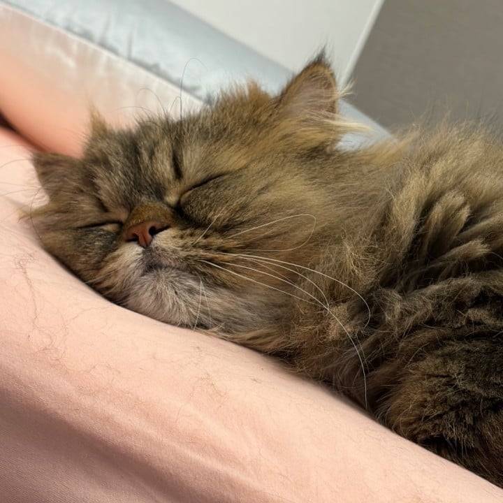 いるよ〜💓