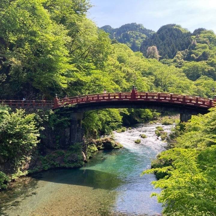 本日☆