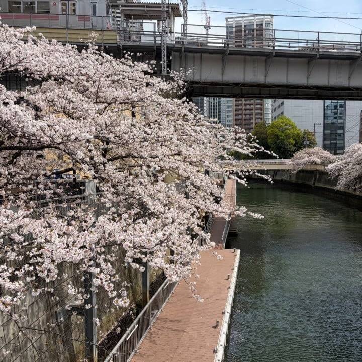 ほこりダメみたい🙅‍♀️
