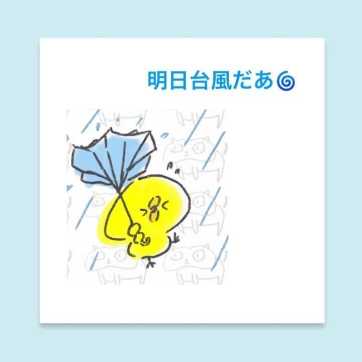 明日台風だ！笑