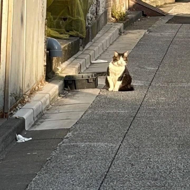 17時に変更