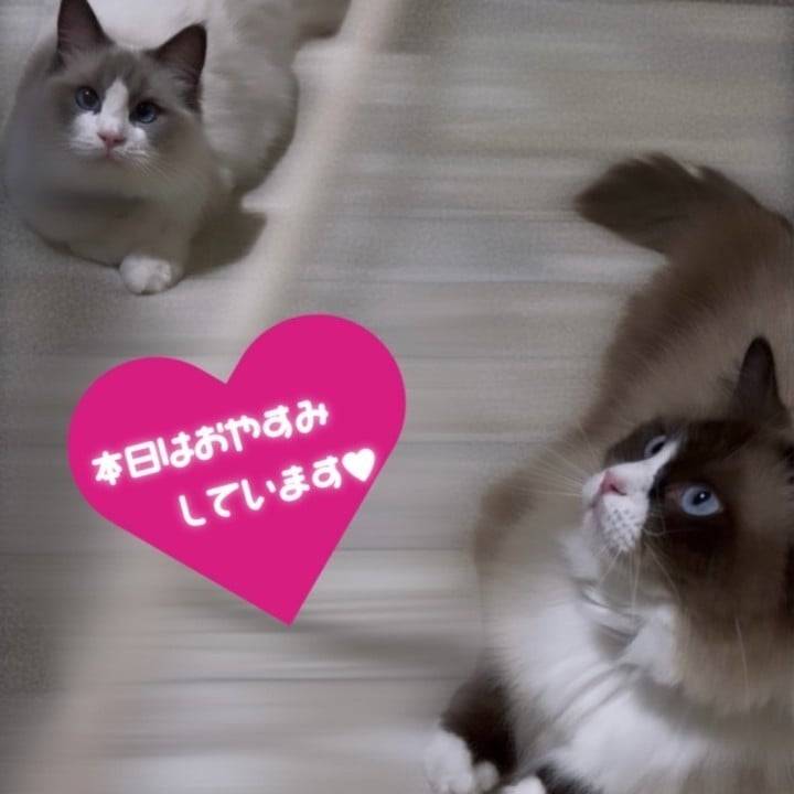 絶賛サブスクDAYです🍿🏠✨