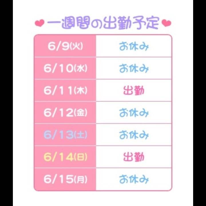 スケジュール🗓