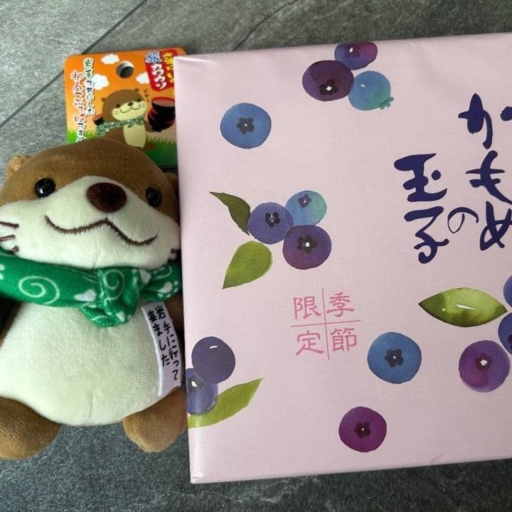 差し入れについて🌸