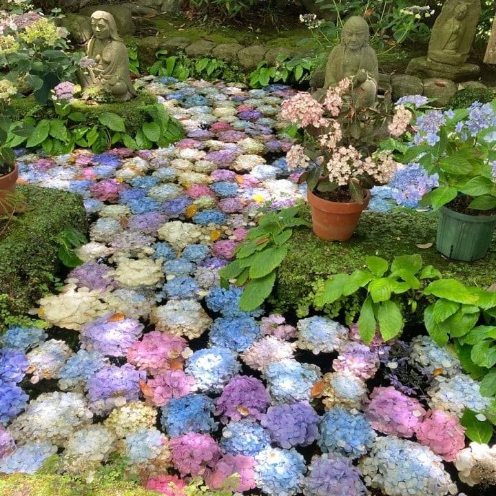本日☆