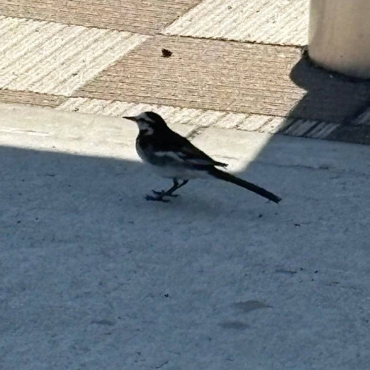 出勤時間変更です🙇🏻‍♀️！